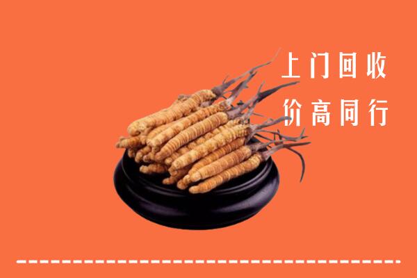 高价求购：霞浦县回收散虫草