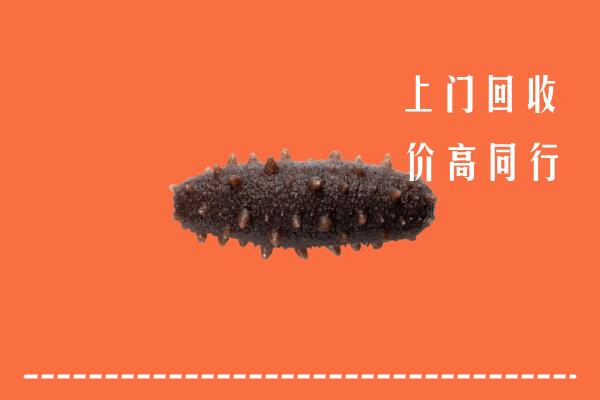 高价求购：霞浦县回收海参