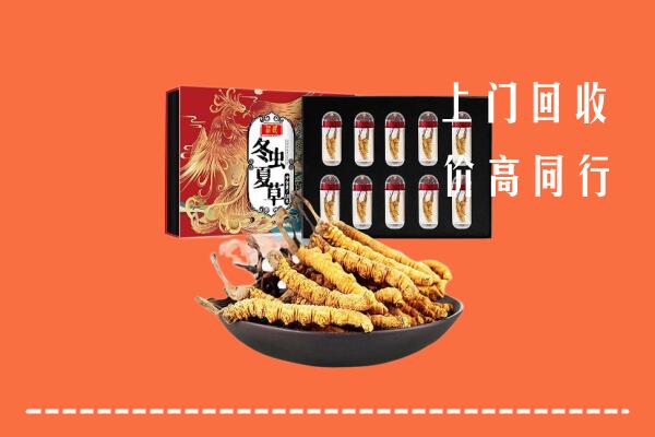 霞浦县回收虫草